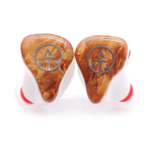 IEM-S2-91 Fashion HiFi Dynamic Balanced Armatured IEM Bluetooth Earphones